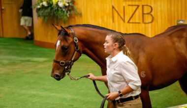 Star of the show, the Sword of State colt from Las Brisas (GB).