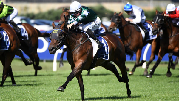 Ohope Wins takes the NZ Oaks from Autumn Glory - image