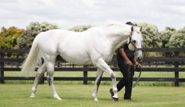 RIP Reliable Man (Fr).