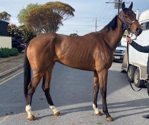 Sharma Princess from her listing in 2022 - click to see her page.