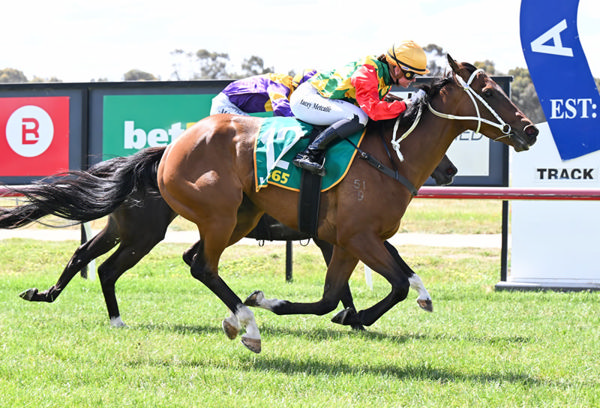 Sharma Princess has won six races - image Racing Photos