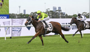 Stretan Ruler blasted his way into the Golden Slipper - image Bradley Photos