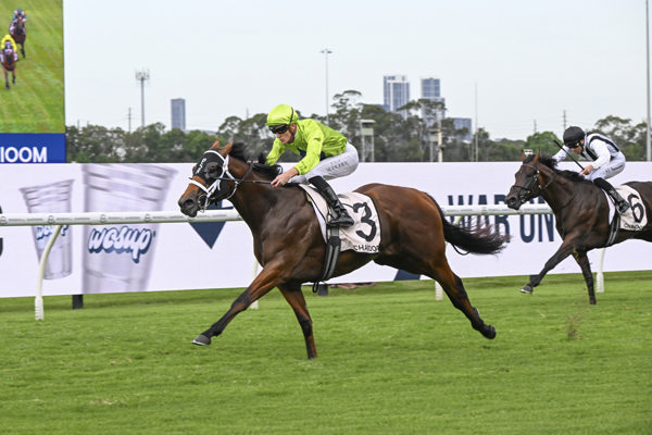 Stretan Ruler blasted his way into the Golden Slipper - image Bradley Photos