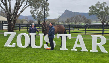 Zoustar, the reigning champion Australian sire!