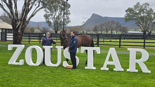 Zoustar, the reigning champion Australian sire!