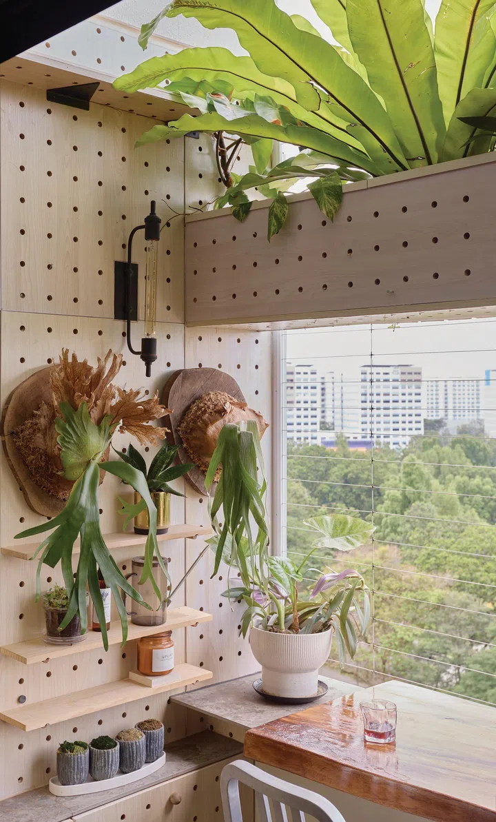 A touch of plants salute to nature in architect interior designer Winston Lim (of Winstudio)’s 3-room HDB in Pasir Ris.