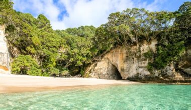 Weekend briefing: Trump loses tariff case, imposes new 10% tariff-tax