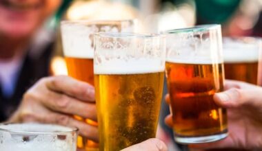 Karaoke bar pulls booze application mid-hearing