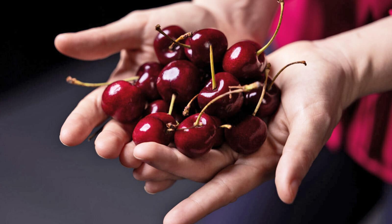 Stuff in cherries may slow agressive breast cancer