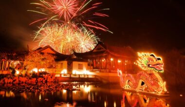 Chinese celebration ‘busiest ever’ | Otago Daily Times Online News