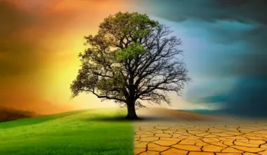 Climate change is accelerating but nature is slowing down