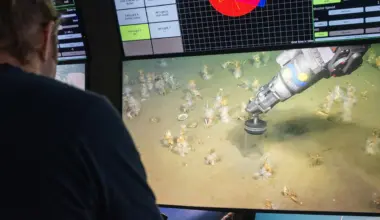 Scientists uncover oxygen-loving ancestor of all complex life