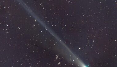 Sky’s chemistry creates jewel | Otago Daily Times Online News