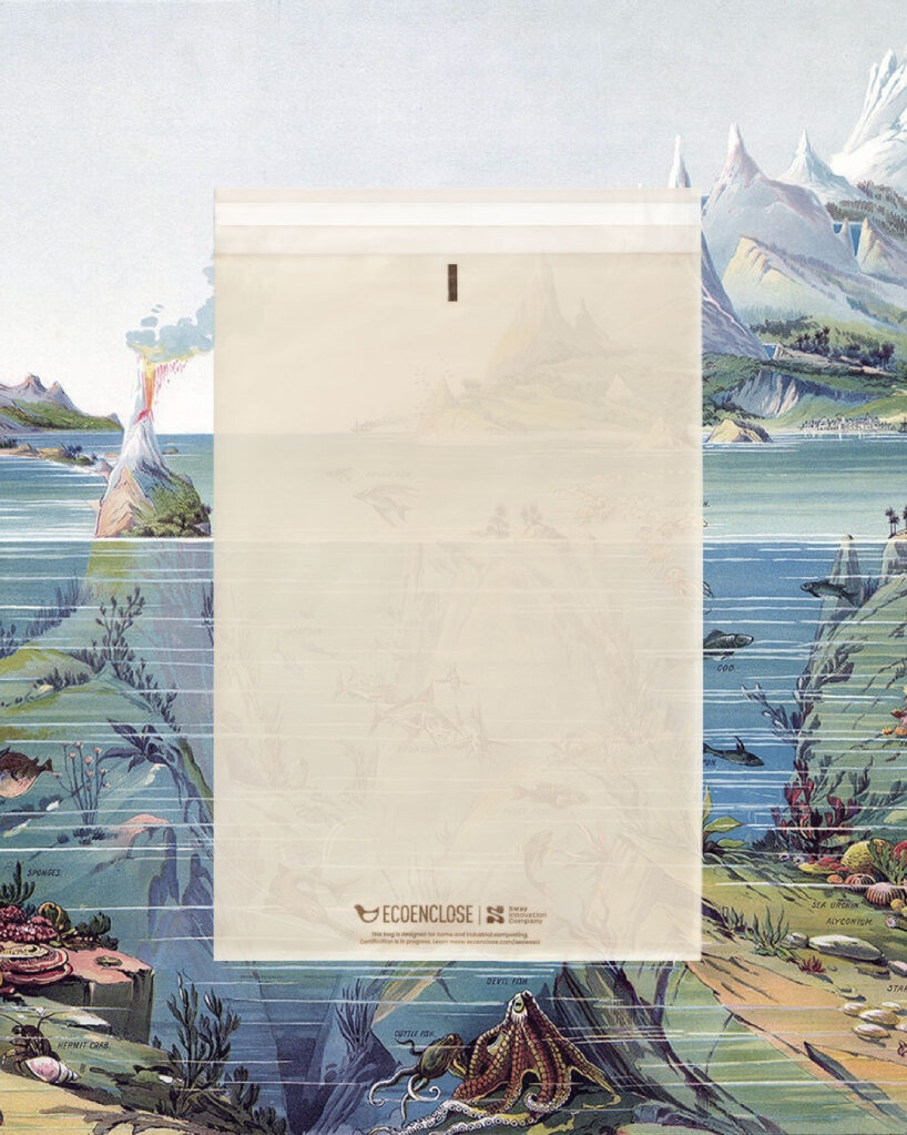 compostable plastic bags seaweed