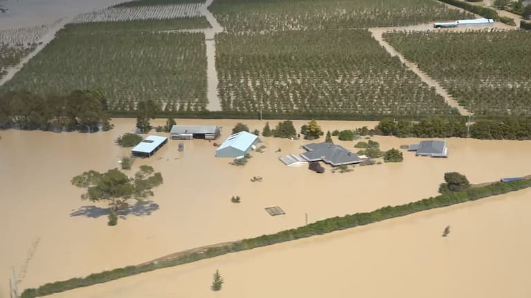 Treasury has warned there is an 80% chance of another Cyclone Gabrielle-scale event within the next 50 years.