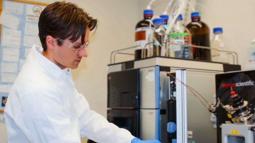 Breakthrough method gives ‘snapshot’ of a plant’s metabolic effects