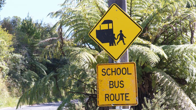 Current signage around Kaimai School to reduce speed.