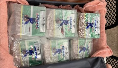 Playboy‑branded green tea hid 36kg meth haul at Auckland Airport