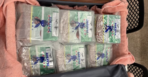 Playboy‑branded green tea hid 36kg meth haul at Auckland Airport