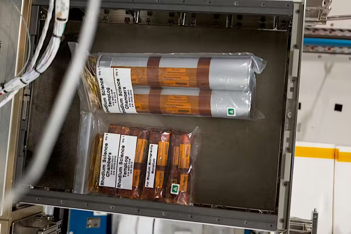 Sealed orange tubes are held in an open metal drawer and labeled with white stickers in a white room