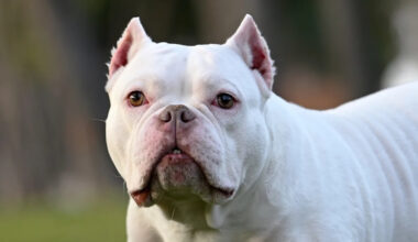 Yahoo lifestyle home