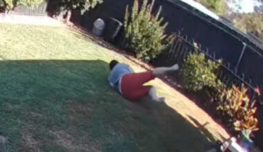 Yahoo lifestyle home