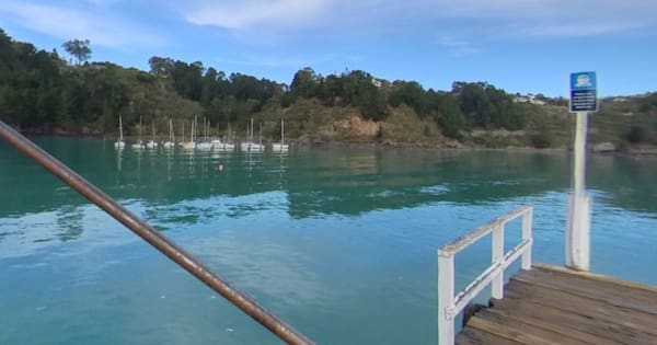 Health warning issued after wastewater discharged into Canterbury harbour