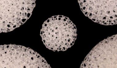 One engineer’s quest to reconstruct hope for breast cancer survivors