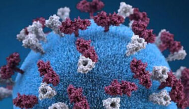 Measles detected in Washington County wastewater 