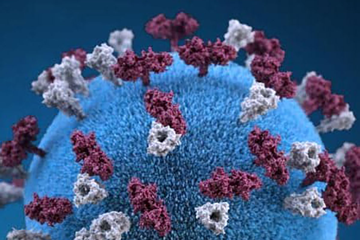 Measles detected in Washington County wastewater 