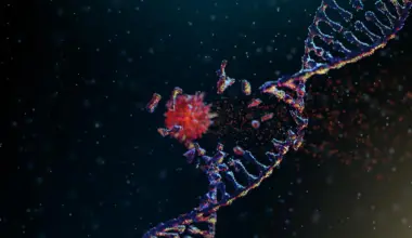 Scientists discover the enzyme that lets cancer rapidly rewire its DNA