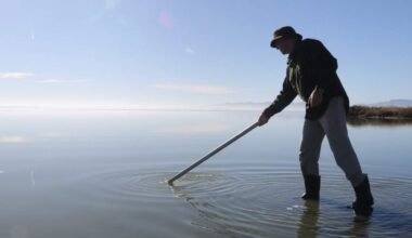 Appeal taken against High Court’s freshwater pollution decision