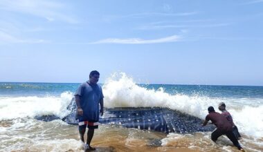 A Tale of Conservation and Community