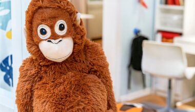 A Modern Reflection on Harlow's Attachment Theory