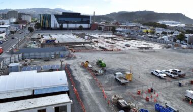 'Absolutely stupid': Drunk students steal ute for hospital site joyride