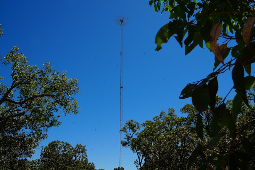 image of radio transmission tower in bushland