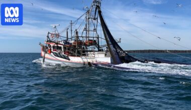 Mandatory rollout of electronic camera monitoring coming for trawlers in Great Barrier Reef Marine Park