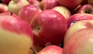 Perceptions on National Economy Mostly Stagnant in Canada – Research Co.