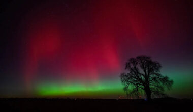 Yahoo lifestyle home