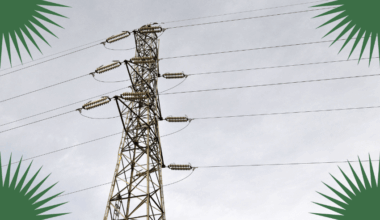 Big costs, big profits: the state of the electricity sector in 2026