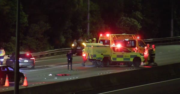 Pedestrian dies after being hit by vehicle on Akl's Southern Motorway