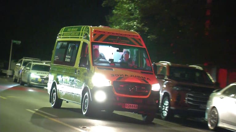 Emergency services, including armed police, at the scene of an alleged shooting in Auckland's Manurewa on February 18.