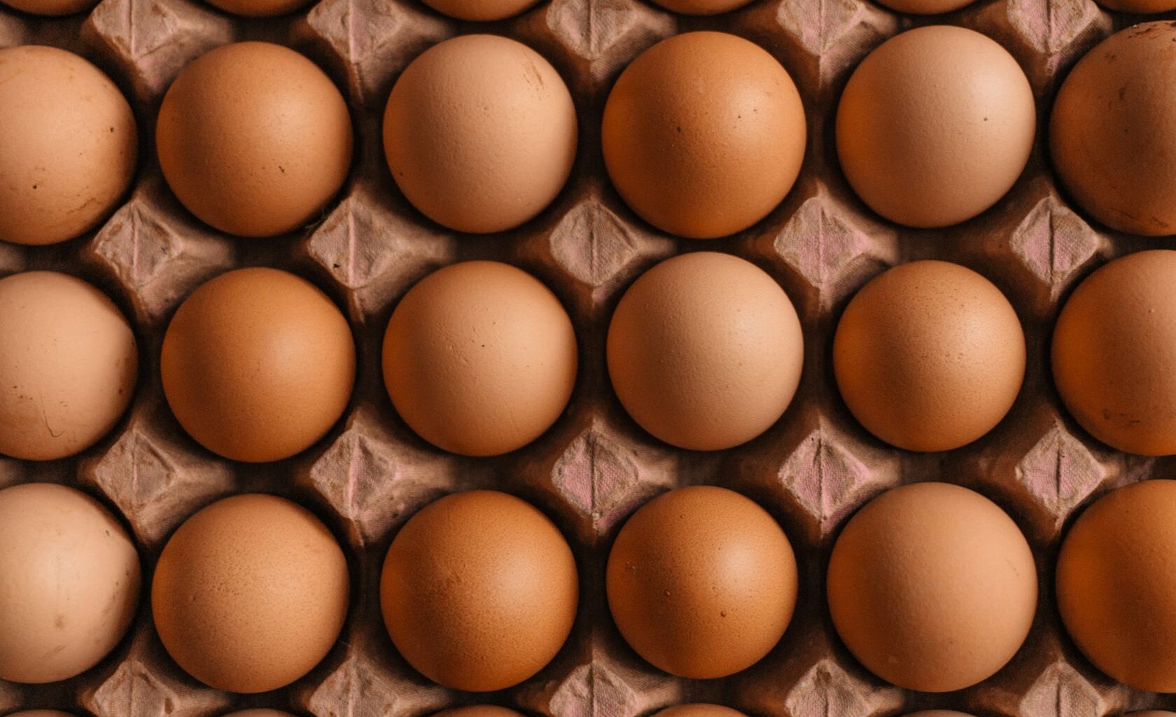 Egg price increase - The Portugal News