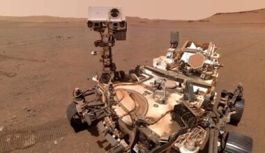 NASA’s Perseverance rover on the surface of Mars. New research suggests most exposed spacecraft surfaces are sterilized within one Martian day. (Credit: NASA)