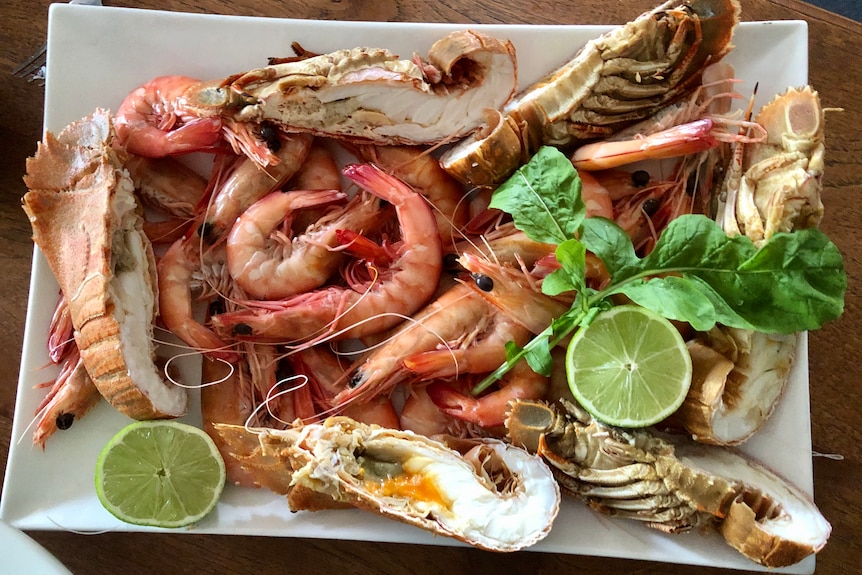 Prawns and bugs on a platter.