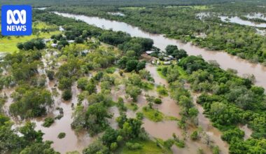 More homes in Daly River damaged by flooding, with water levels expected to recede from Thursday