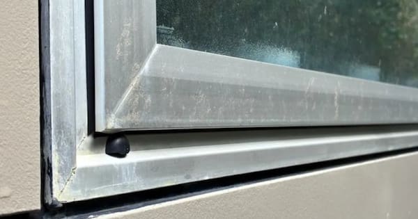 Wellington residents clean poo spray off houses after severe weather