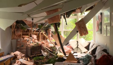 Massive redwood tree crashes through Rangitikeī family home