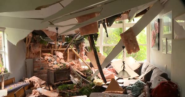 Massive redwood tree crashes through Rangitikeī family home