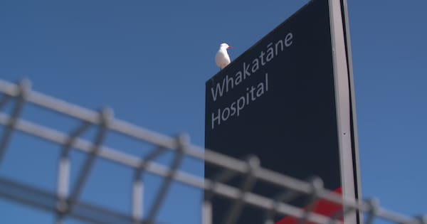 Whakatāne Hospital to bring back specialist birthing services